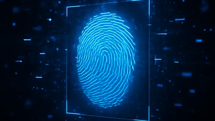 Step-by-Step Login Instructions on 995BAT COM